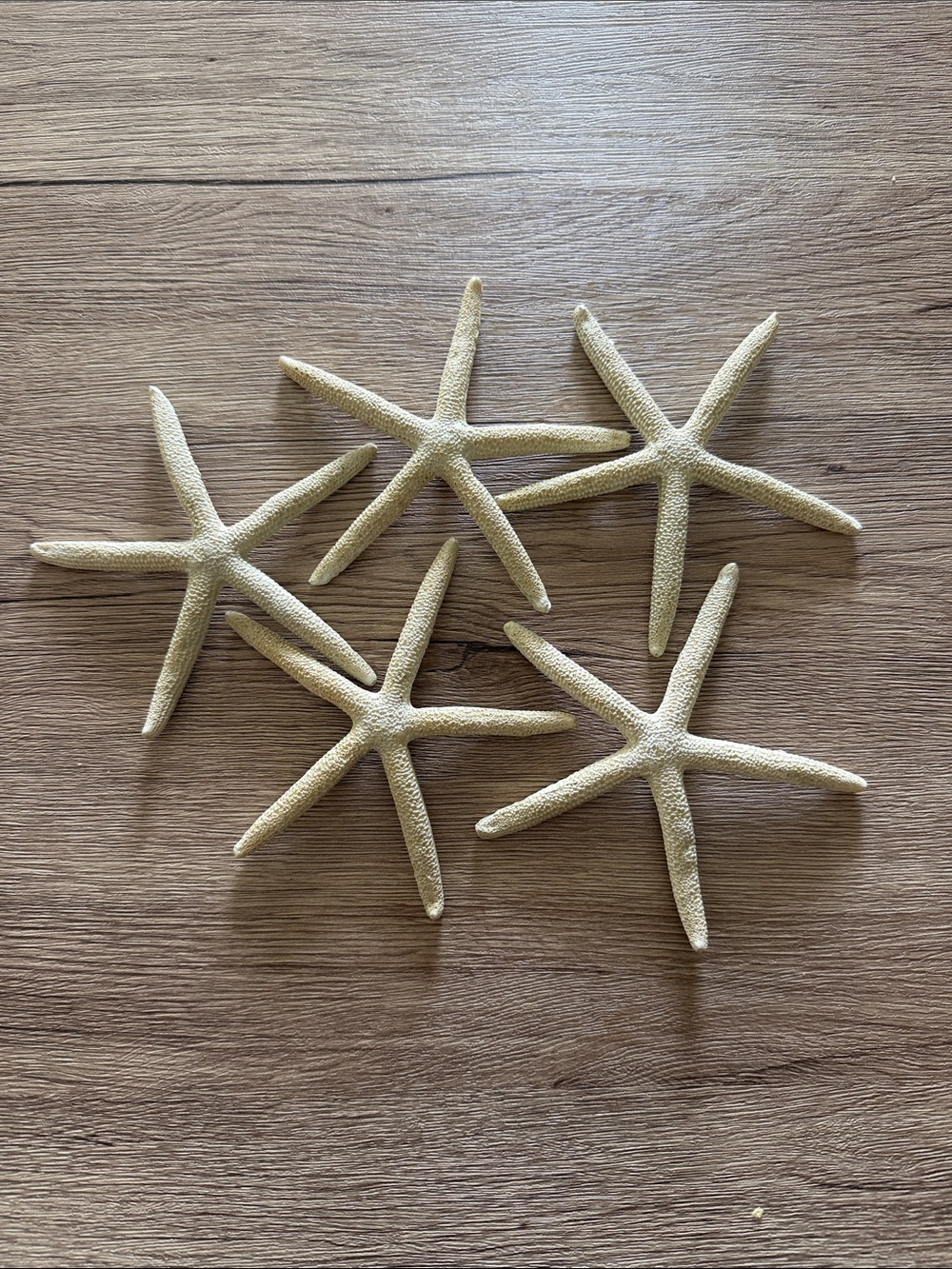 Natural Beige Starfish Wall Decor Set - Coastal Home Accent